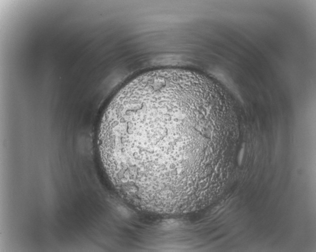 X0000066970111200604072040