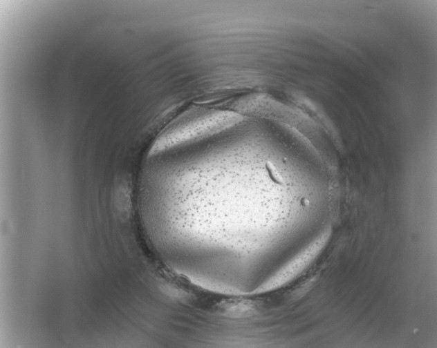 X0000066970113200604072040