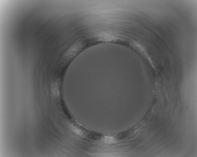 X0000066970114200604072040