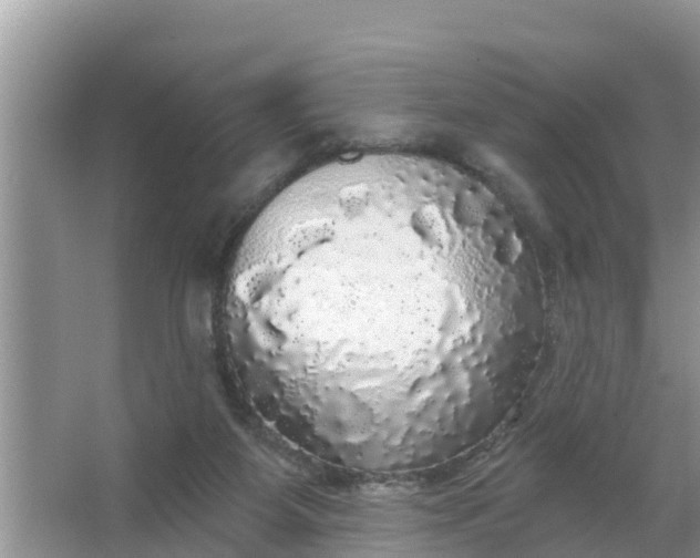 X0000066970115200604072040