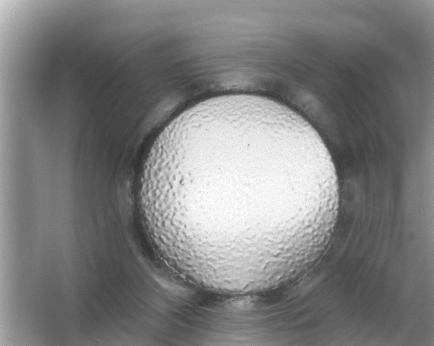 X0000066970116200604072040