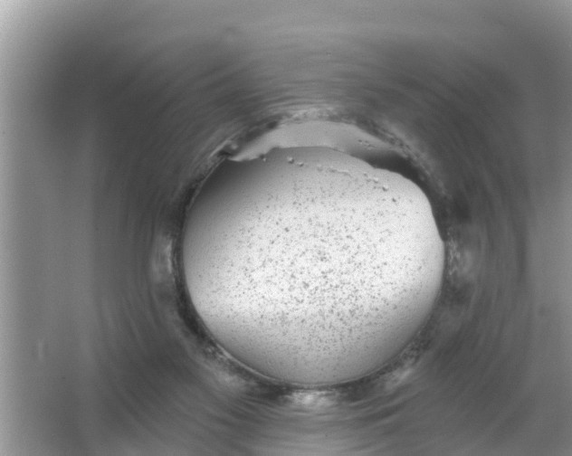 X0000066970117200604072040