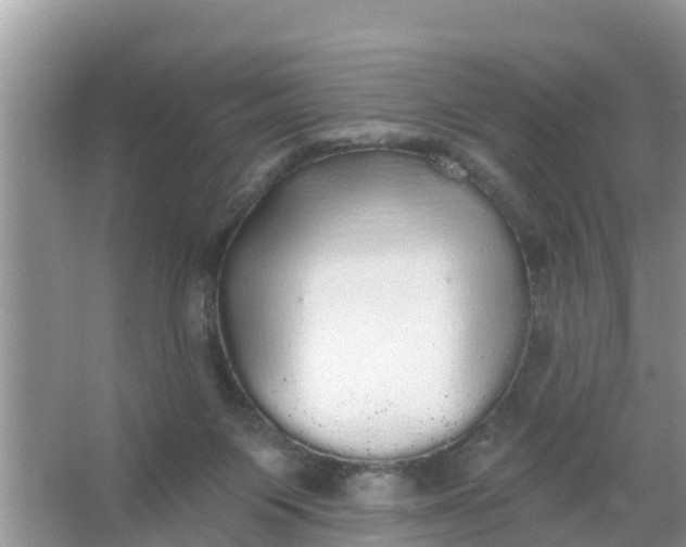 X0000066970119200604072040