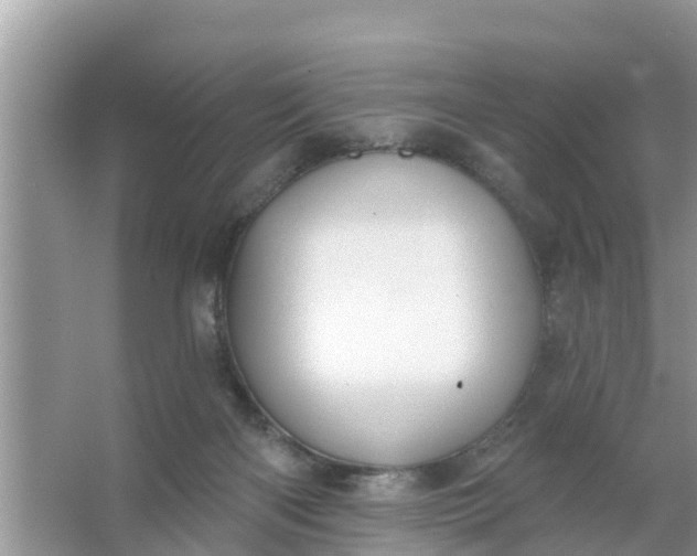 X0000066970122200604072040