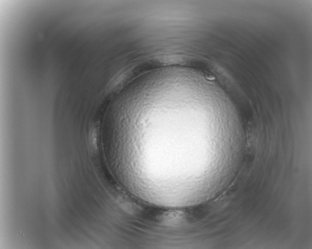 X0000066970124200604072040