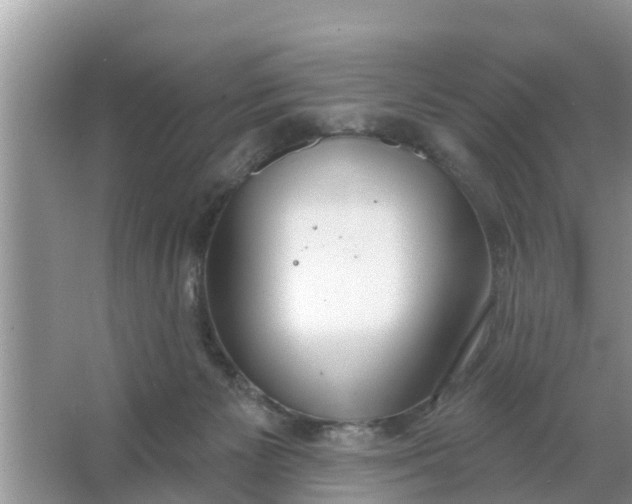 X0000066970125200604072040