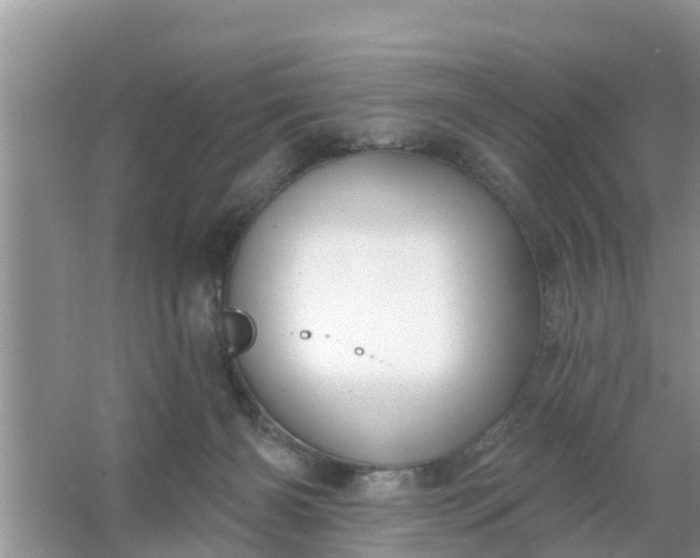 X0000066970126200604072040