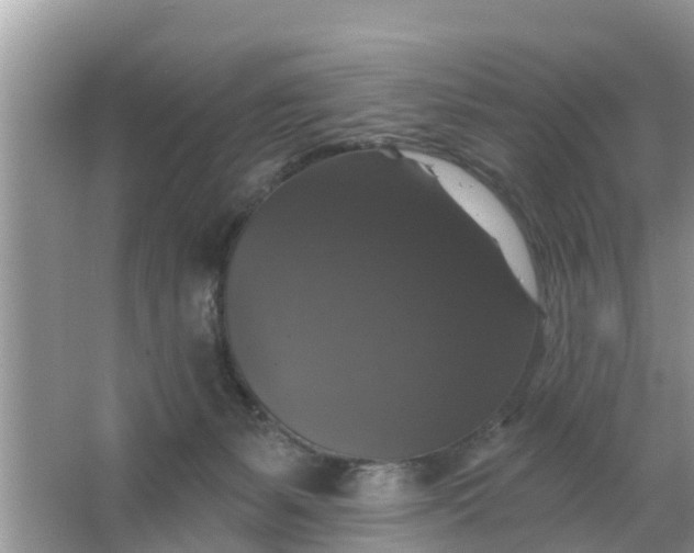 X0000066970127200604072040