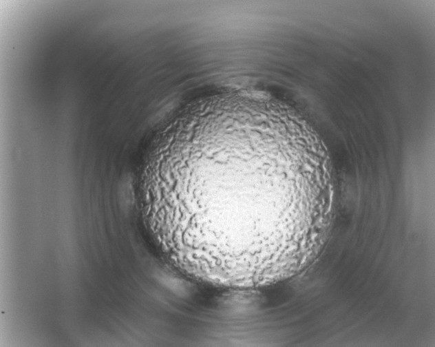 X0000066970128200604072040