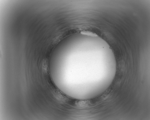 X0000066970129200604072040