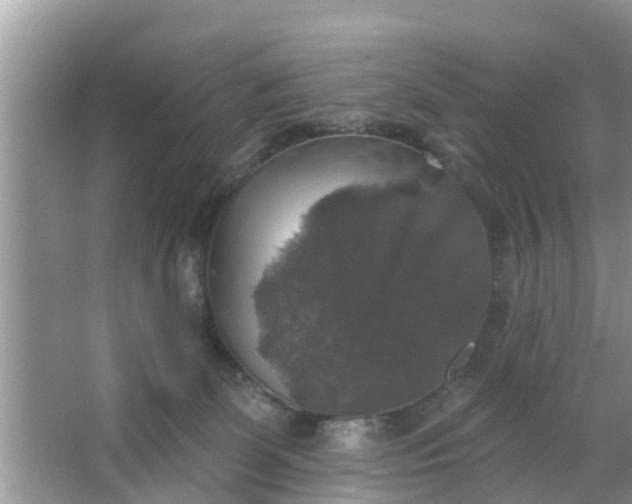 X0000066970131200604072040