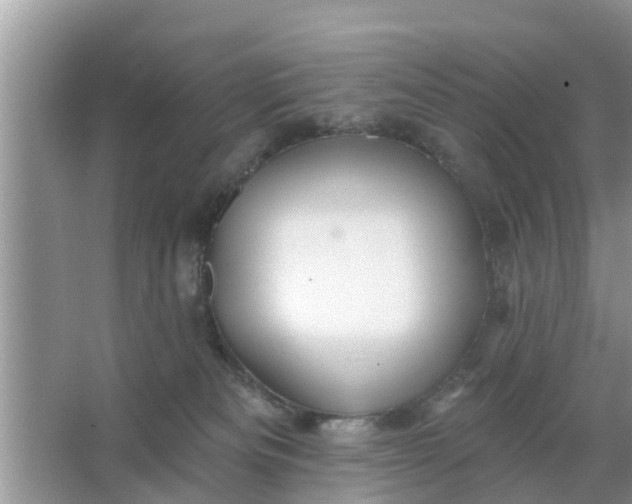 X0000066970133200604072040