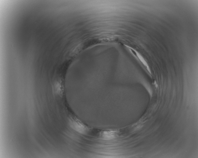 X0000066970134200604072040