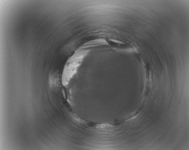 X0000066970137200604072040