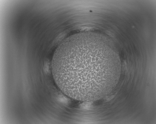 X0000066970138200604072040