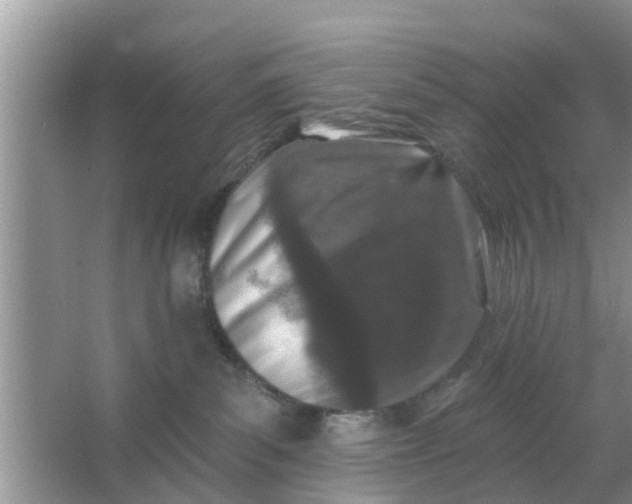 X0000066970139200604072040