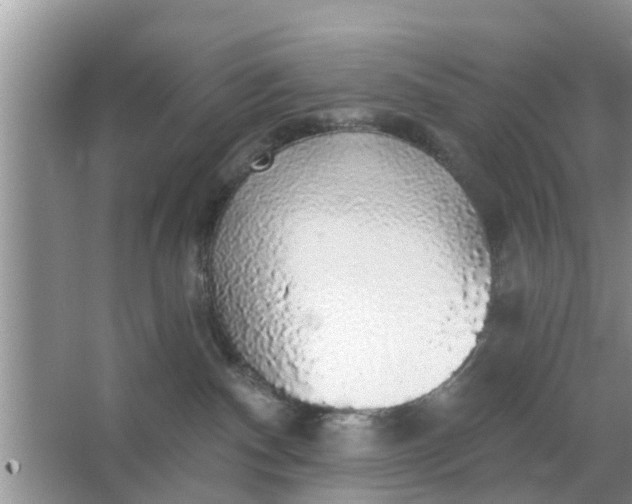 X0000066970140200604072040