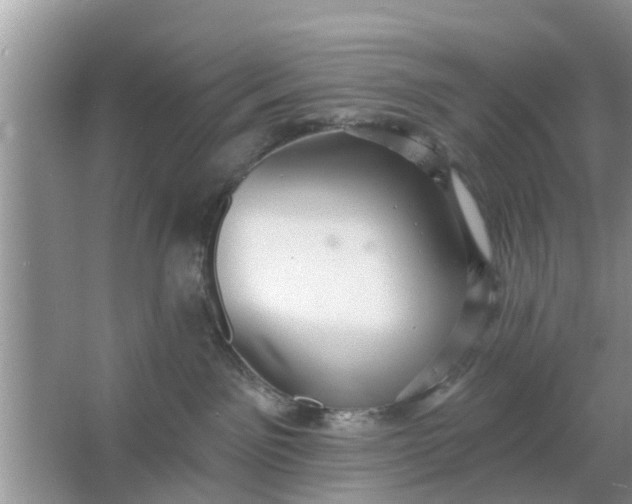 X0000066970141200604072040