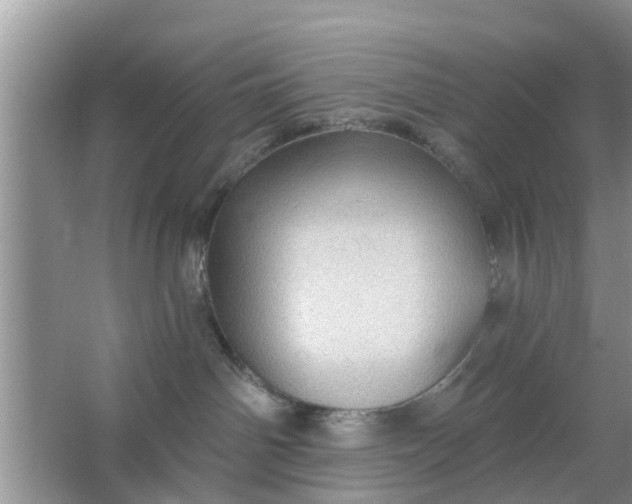 X0000066970142200604072040