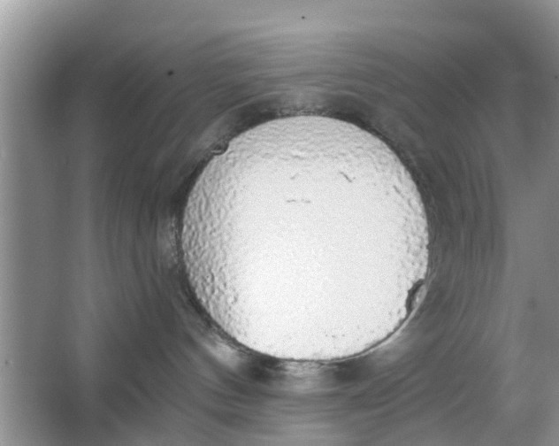 X0000066970144200604072040