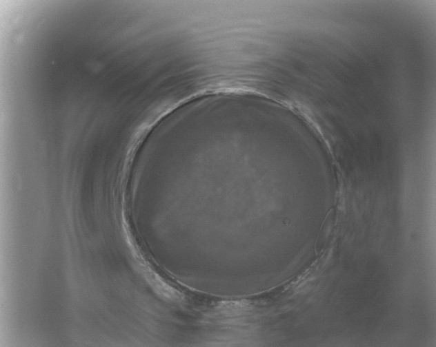 X0000066970145200604072039