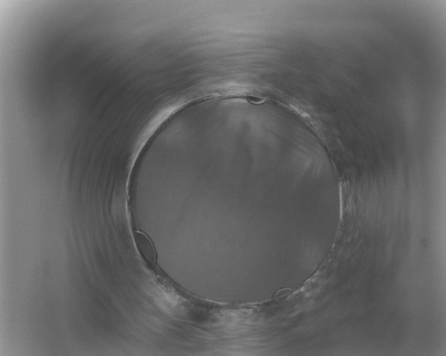 X0000066970147200604072039