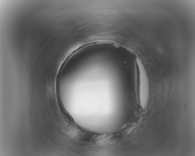 X0000066970148200604072039