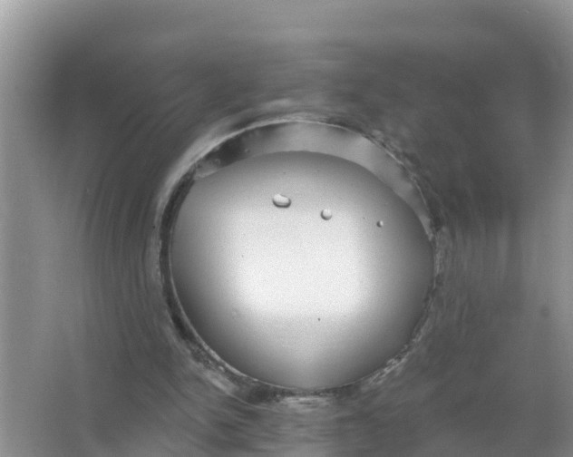 X0000066970150200604072039