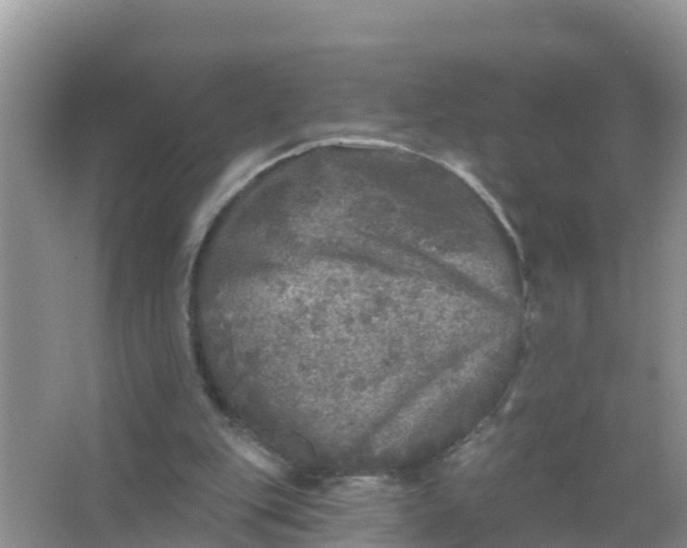 X0000066970151200604072039