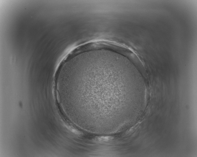 X0000066970152200604072039