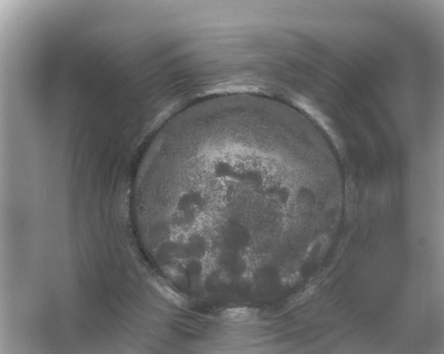 X0000066970153200604072039