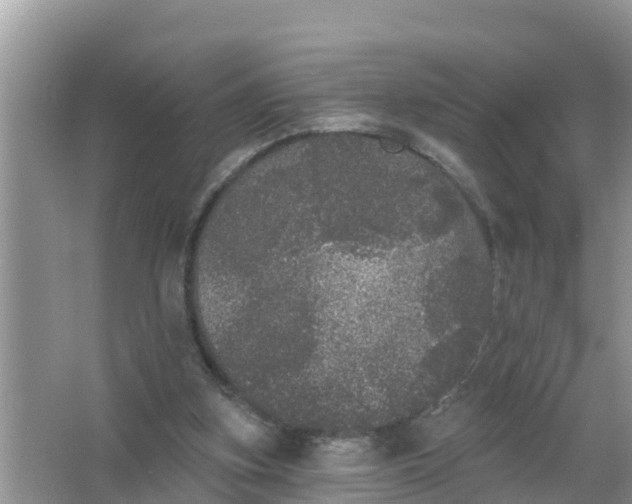 X0000066970155200604072039