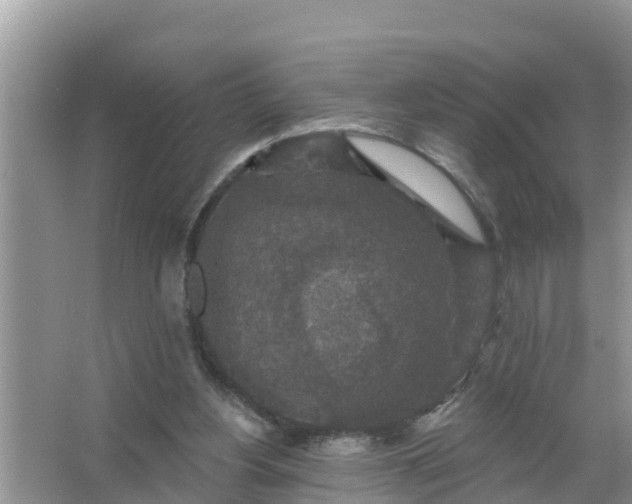 X0000066970156200604072039