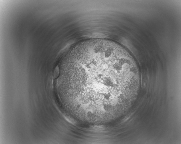 X0000066970157200604072039