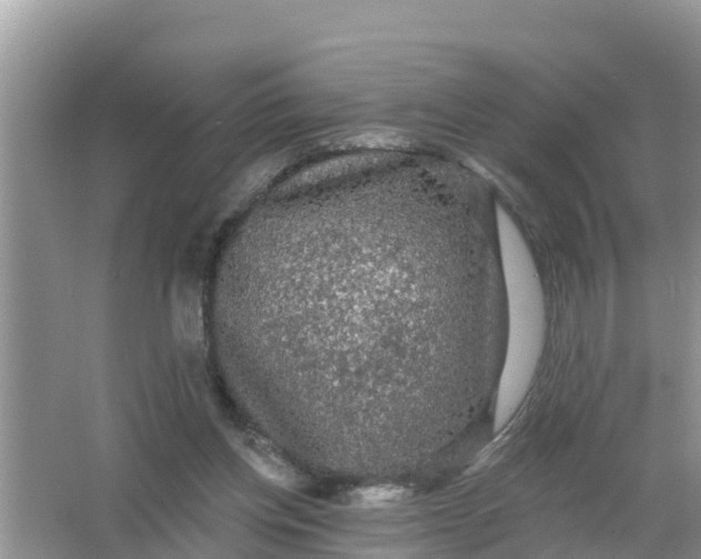 X0000066970158200604072039