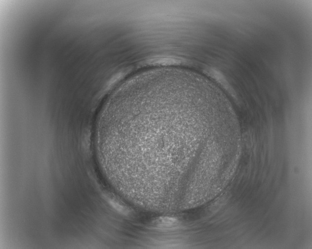 X0000066970159200604072039