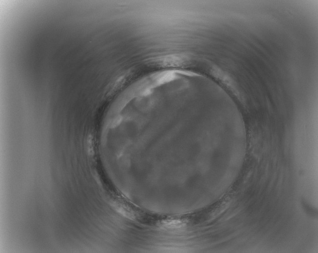 X0000066970161200604072039