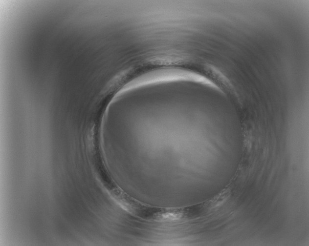 X0000066970163200604072039