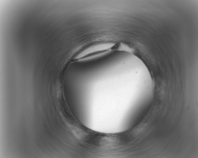 X0000066970164200604072039