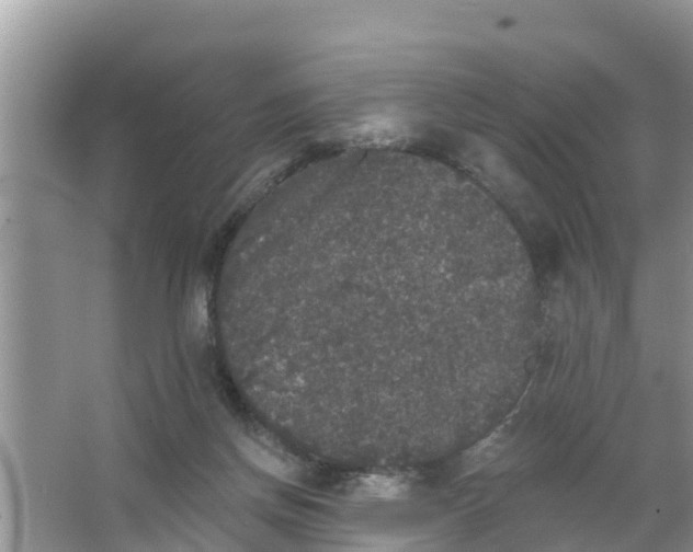 X0000066970166200604072039