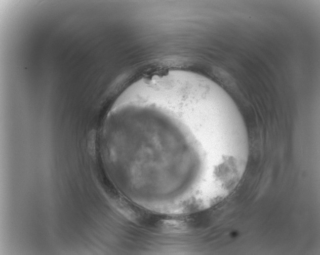 X0000066970167200604072039