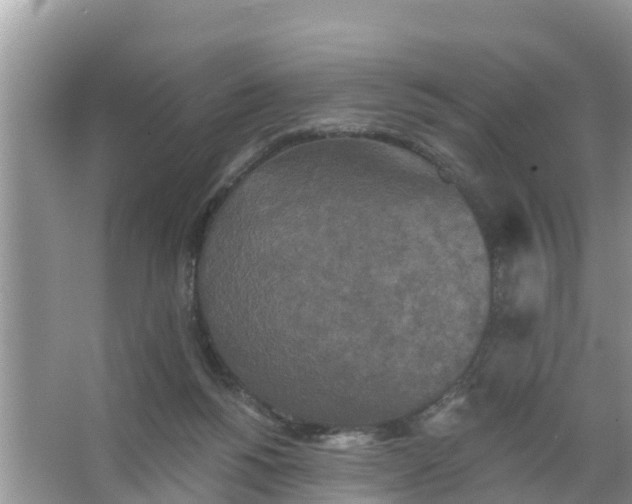 X0000066970168200604072039