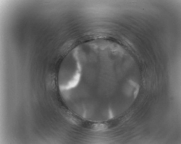 X0000066970169200604072039