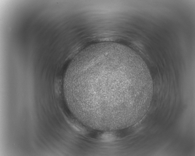 X0000066970171200604072040