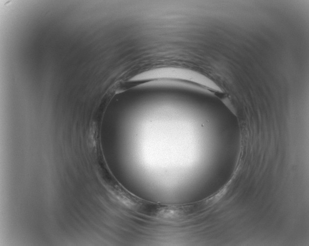 X0000066970174200604072040