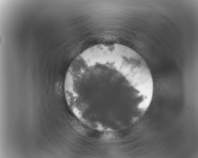 X0000066970177200604072040