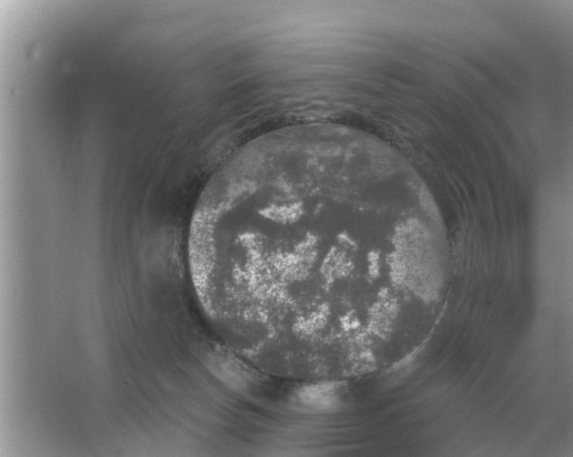 X0000066970178200604072040