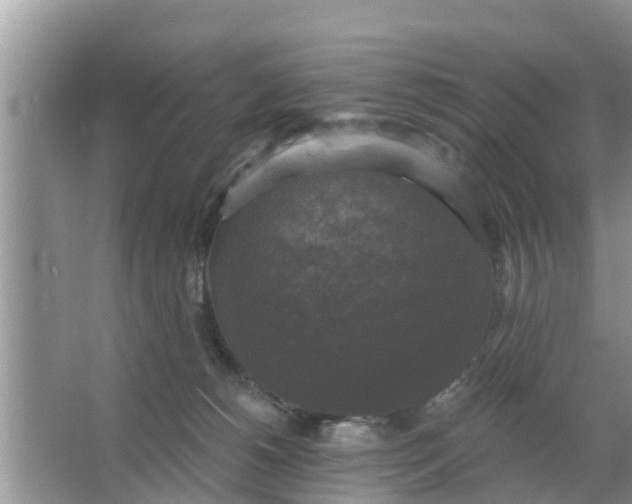 X0000066970180200604072040