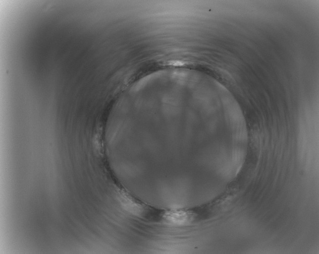 X0000066970181200604072040