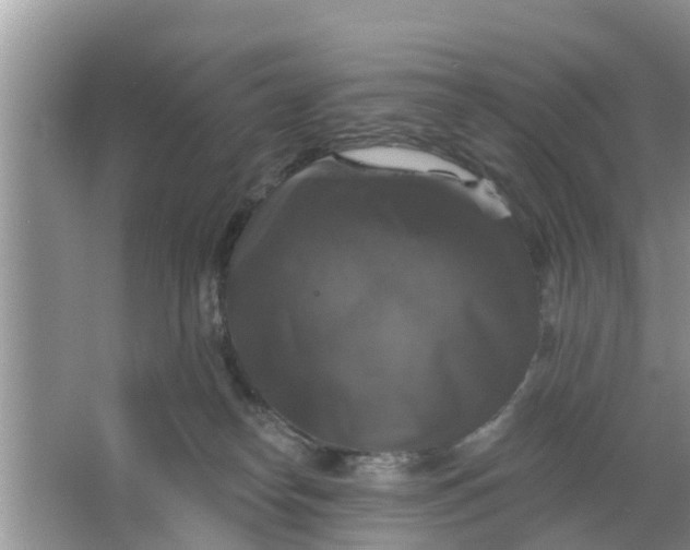 X0000066970182200604072040